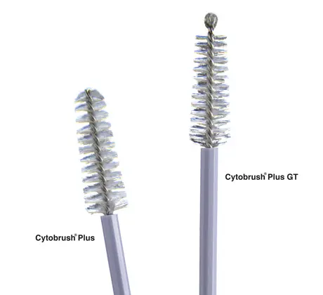 Cytobrush Plus celleprøvebørste