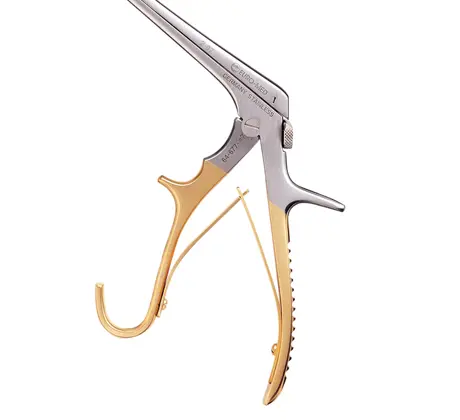 Baby Burke handle.webp