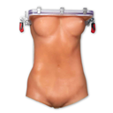 Hydra - Female Torso