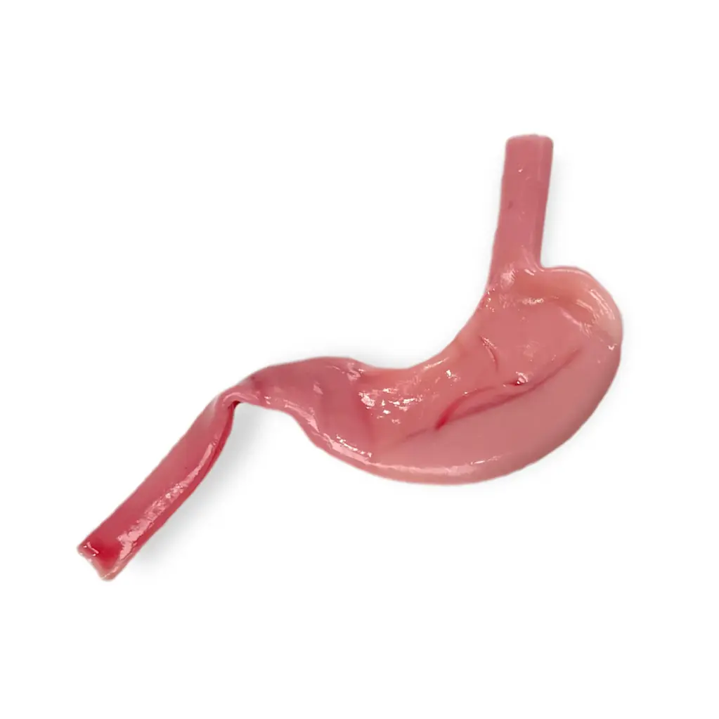 Gastric (Class III) (kopia)