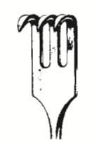 Retractor (trach) pointed