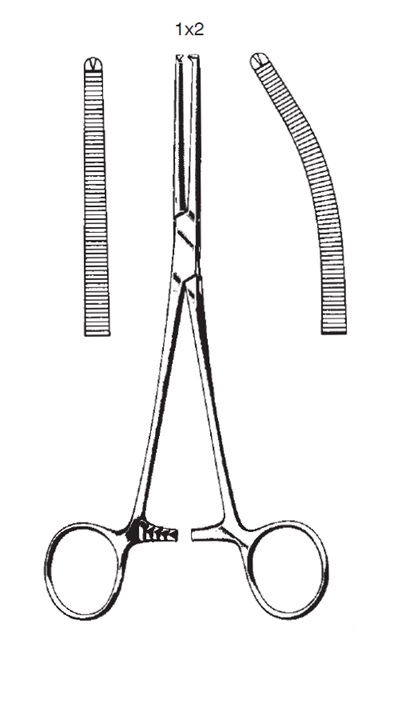 Peang Rochester-Ochsner 1x2 klo