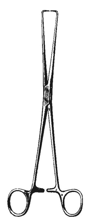 Tenaculum Forceps, Braun 25 cm