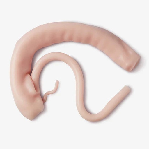 [COLRHMII] Right Hemicolectomy (Class II)