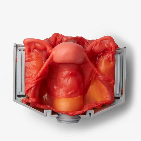IMRA BioTissue Hysterectomy Class IV syntetisk treningsmodell