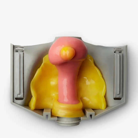 IMRA BioTissue Myomectomy Class II syntetisk treningsmodell