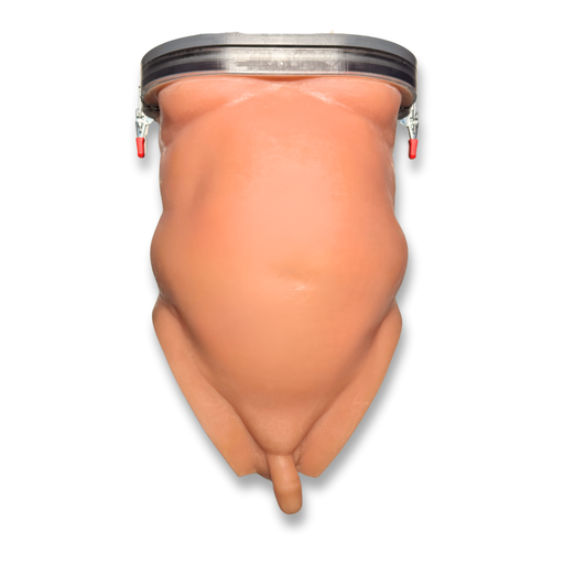 [RASMTT] Dadbod® - Male Torso Trainer